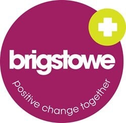 The Brigstowe Project