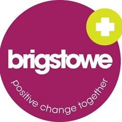 The Brigstowe Project